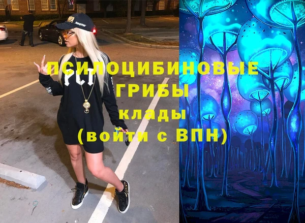 винт Алексеевка