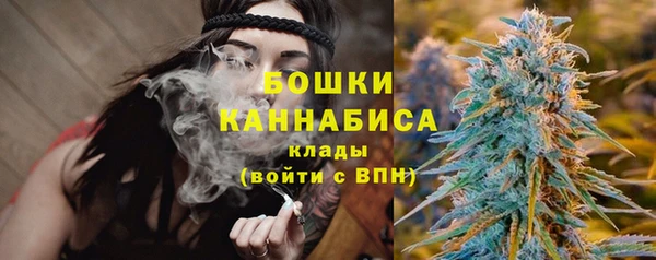 крисы Абдулино