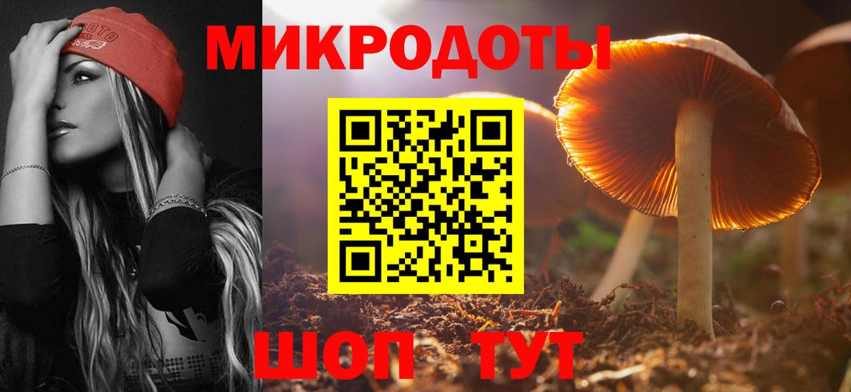 Псилоцибиновые грибы Psilocybe Кингисепп