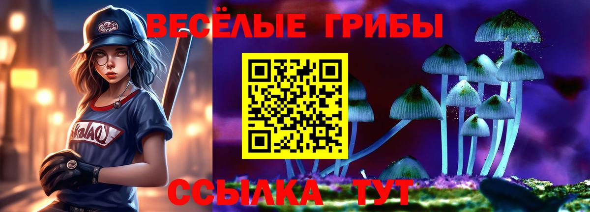 Псилоцибиновые грибы GOLDEN TEACHER  Вход с VPN  Кингисепп  Псилоцибиновые грибы GOLDEN TEACHER 