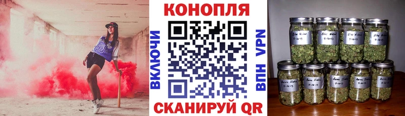 кракен онион  Кингисепп  Бошки Шишки Amnesia 